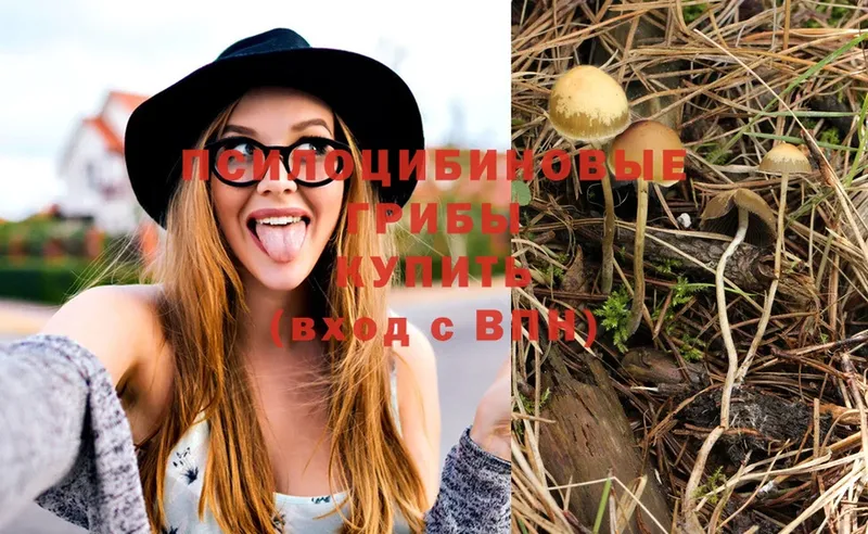 Галлюциногенные грибы Magic Shrooms  хочу   Красноперекопск 